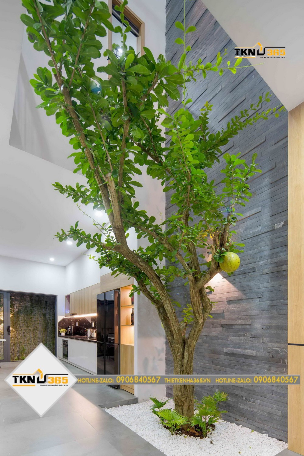 Ô thông tầng giữa nhà làm nơi đối lưu và lấy sáng cho ngôi nhà