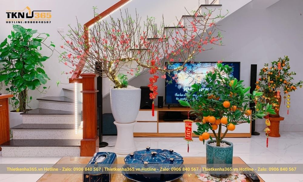 Cây xanh trong phòng tạo cho căn phòng có sức sống hơn