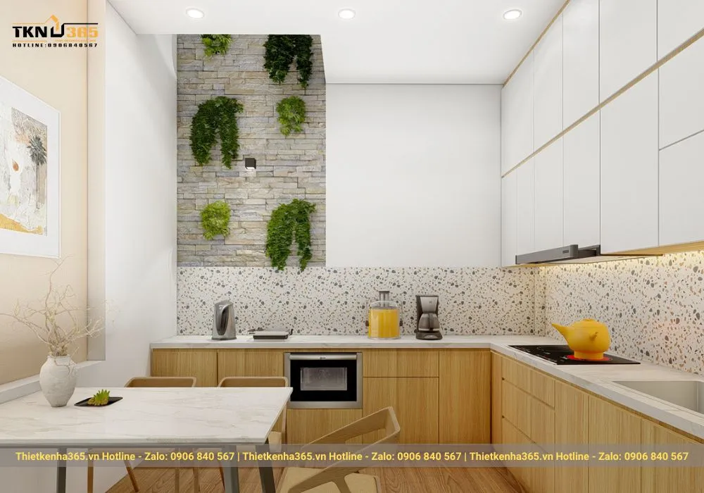 Thiết kế nhà có diện tích 3x12m