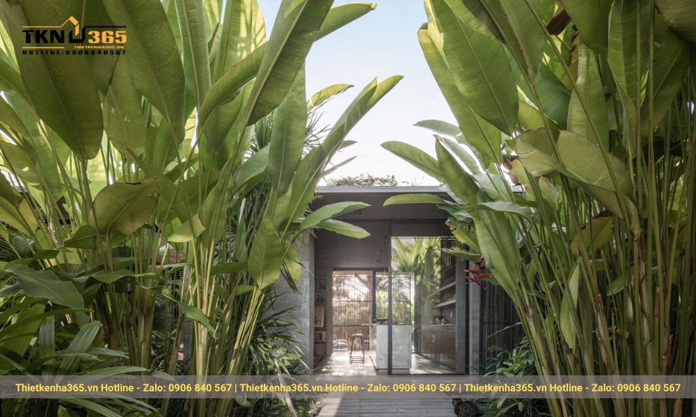 Thiết kế biệt thự nghỉ dưỡng của chị Trâm mang đậm màu xanh mát của cây cối, hoa lá