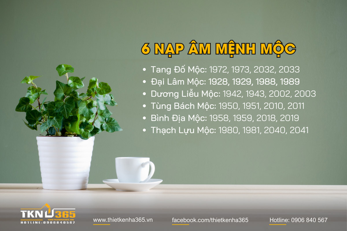 mệnh Mộc hợp hướng nào 1