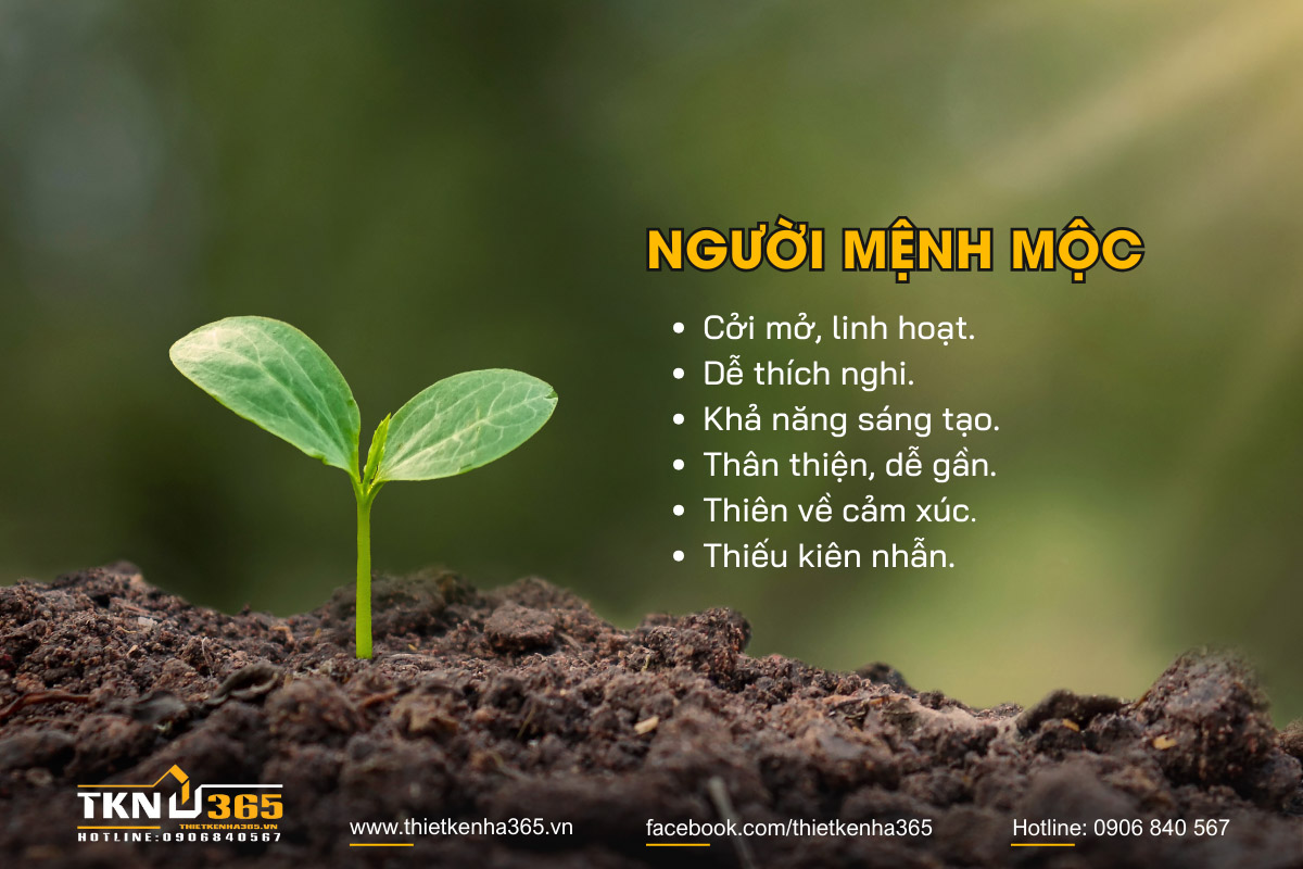 mệnh Mộc hợp hướng nào 2