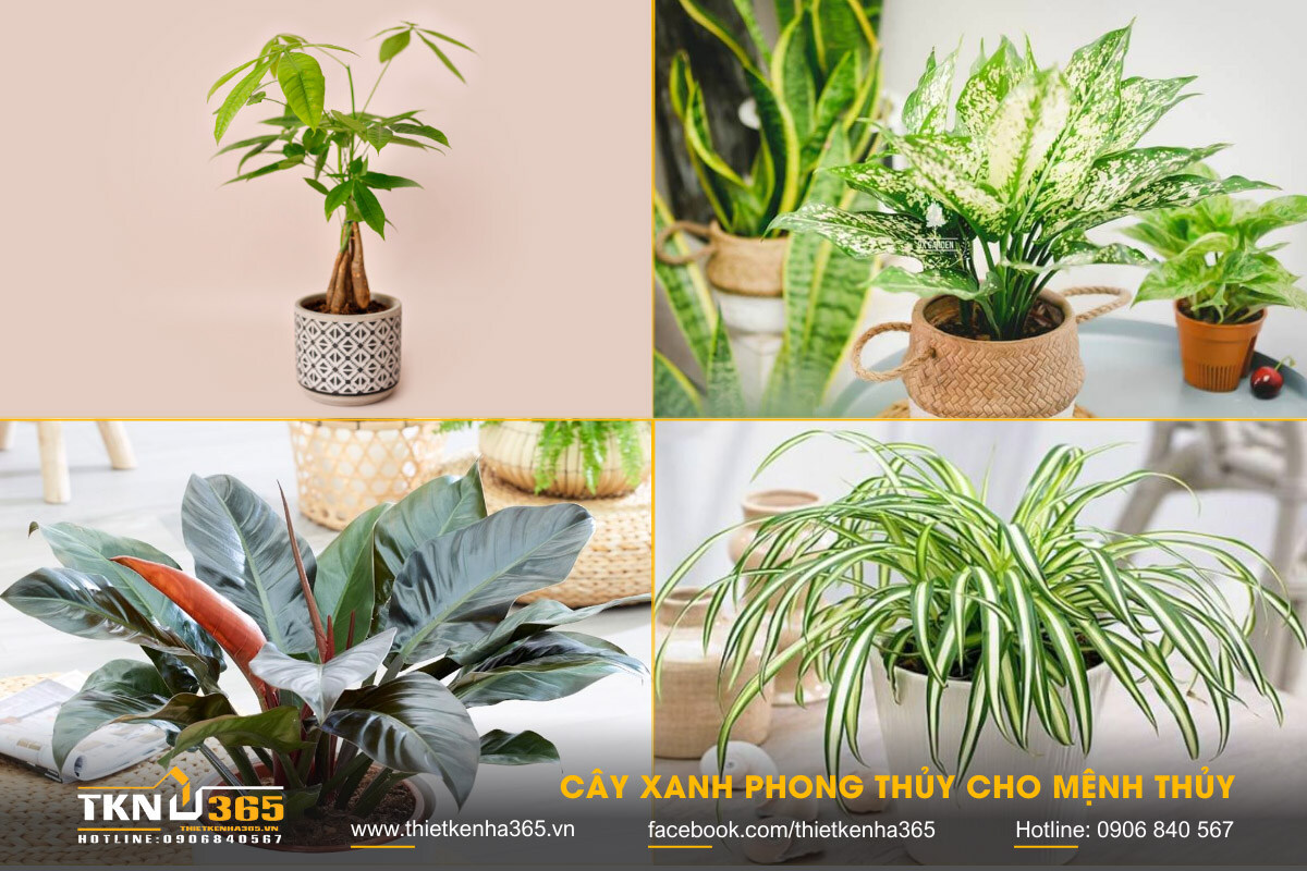 mệnh Thủy hợp hướng nào 7