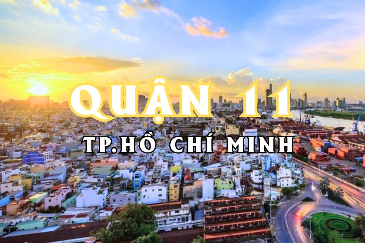 Xây nhà quận 11 đang ngày càng trở thành một lựa chọn hấp dẫn cho các gia đình muốn sở hữu ngôi nhà đẹp, tiện nghi với mức chi phí hợp lý.