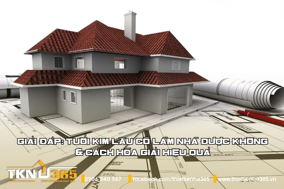 tuoi-kim-lau-co-lam-nha-duoc-khong