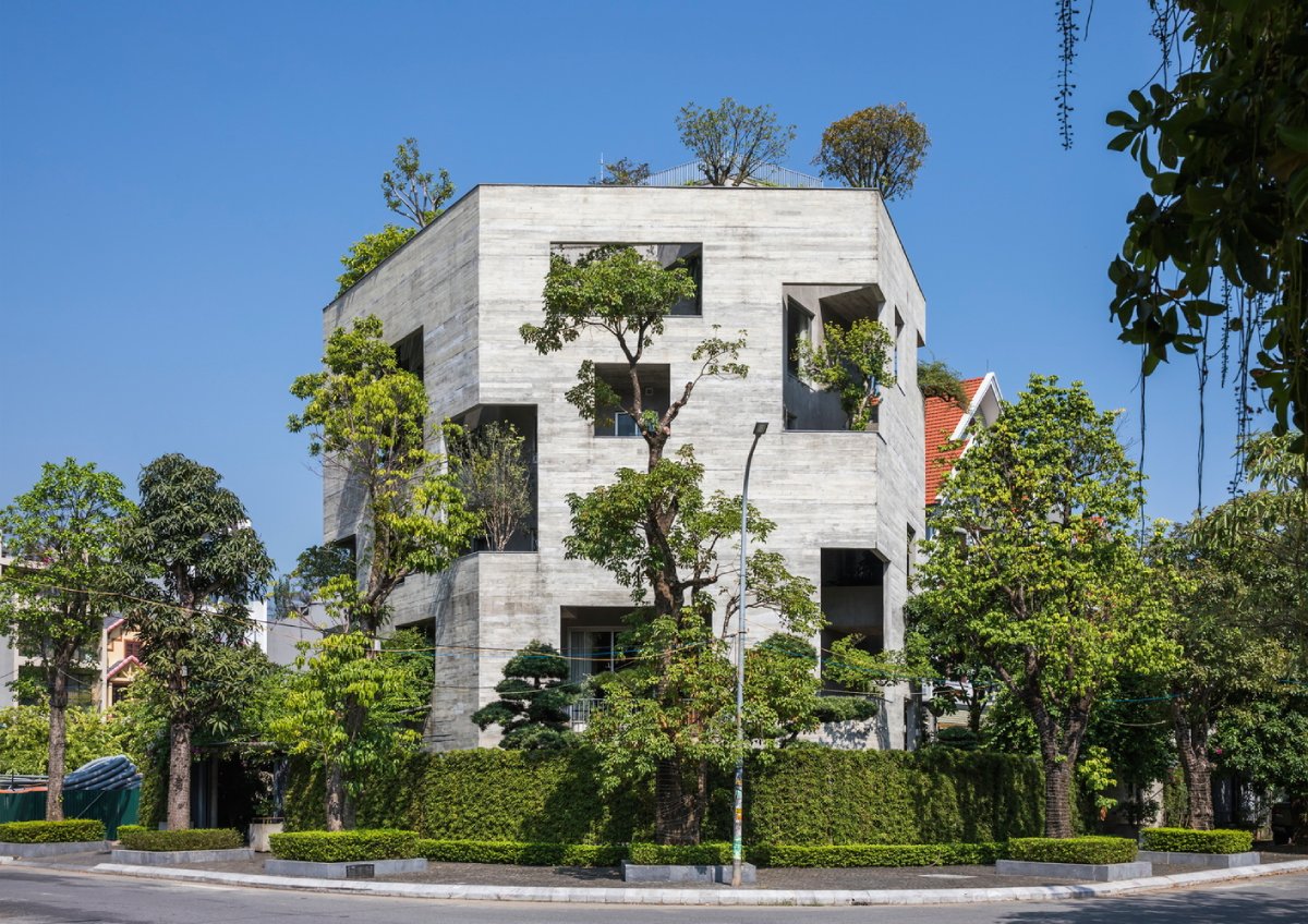 Thiết kế xanh 11