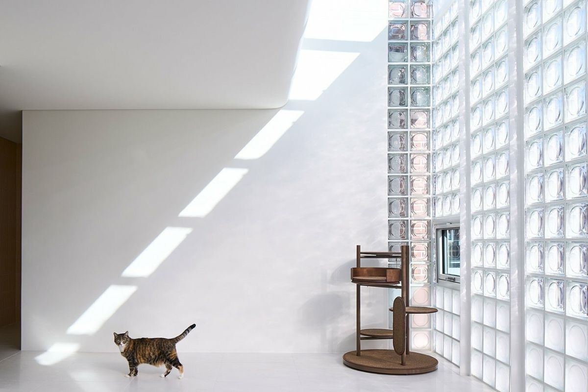 Việc có nên dùng gạch kính lấy sáng hay không phụ thuộc vào nhiều yếu tố, gia chủ nên cân nhắc kỹ lưỡng (Ảnh: Sưu tầm)