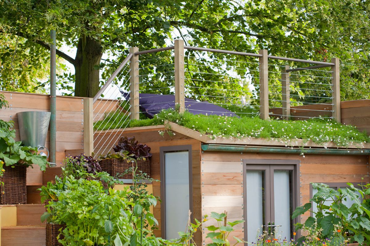 Trồng cây xanh xung quanh và trên mái là giải pháp cách nhiệt ngôi nhà được nhiều gia chủ áp dụng (Ảnh: Sưu tầm)